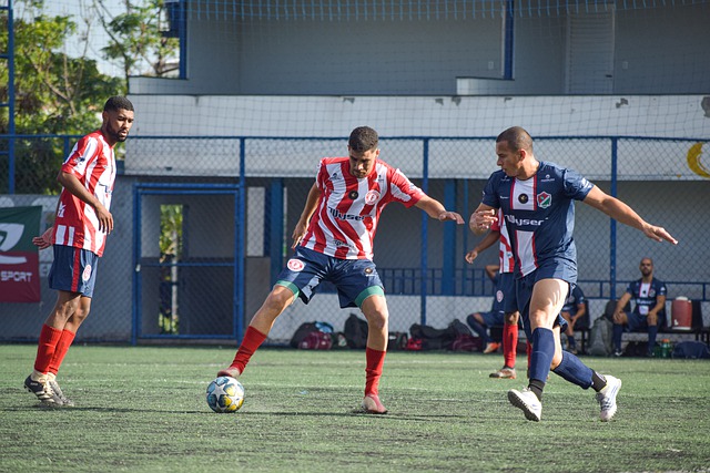 团队协作和 团队协作和