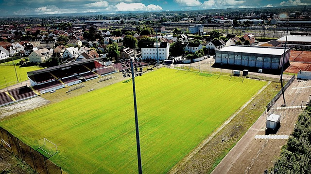 从中吸取教 从中吸取教