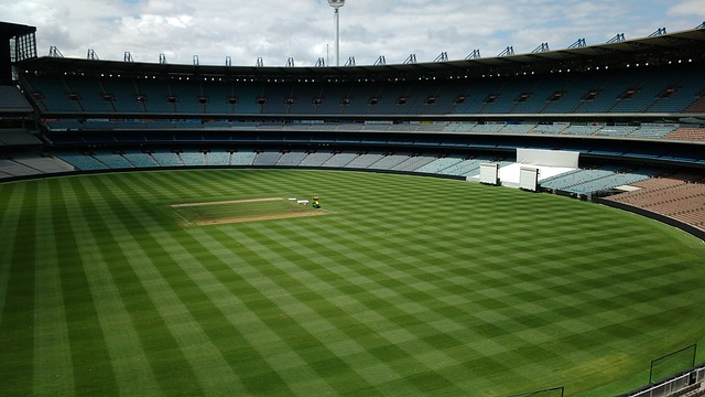 杨等球员倾 杨等球员倾