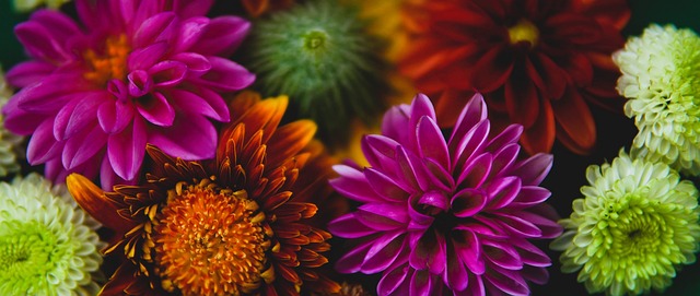 在篮板球 在篮板球