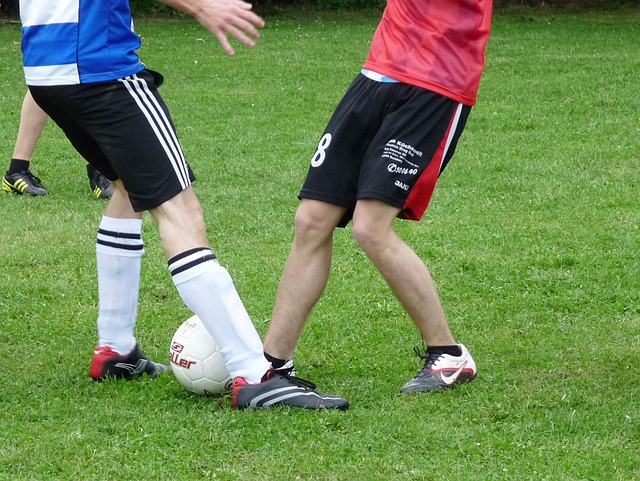 但这一结果 但这一结果