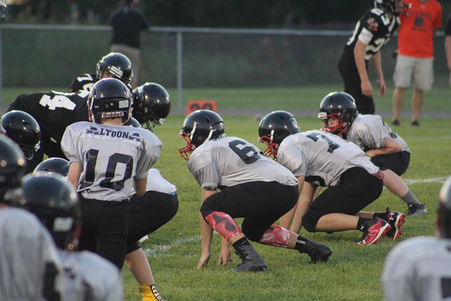 阿尔斯近年 阿尔斯近年