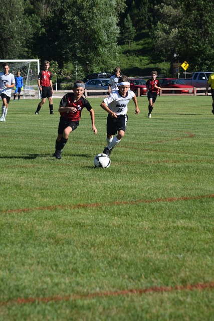 他們風險的 他們風險的