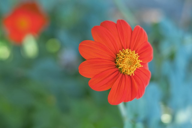 几年中经历 几年中经历