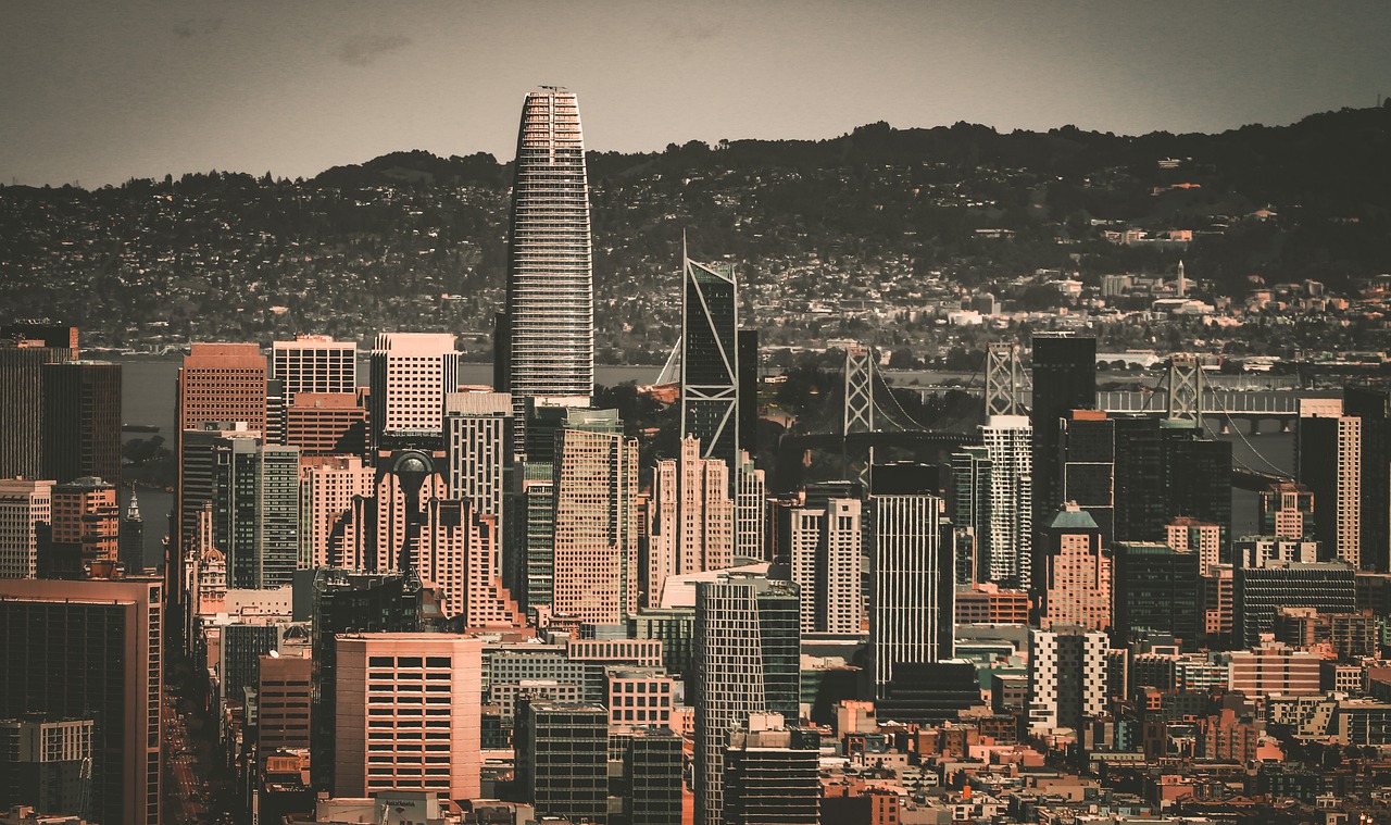 職業運動中 職業運動中