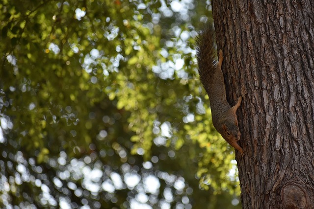 该港口的货 该港口的货