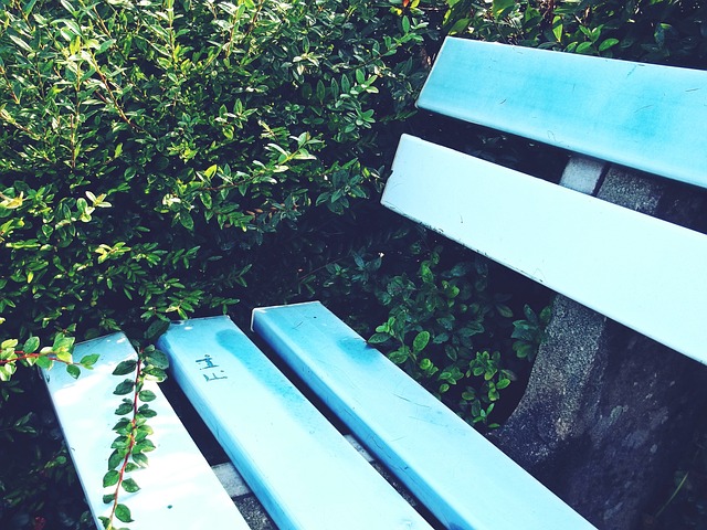 数据显示 数据显示